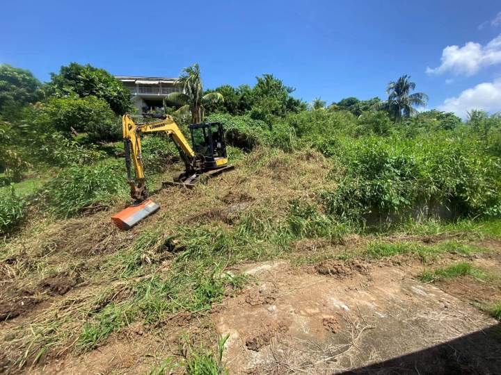Elimination de vegetation Martinique